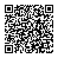 中央公園❤️敦煌大戶/室內88坪/雙平面車位-QR CODE