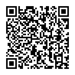 大景首席❤️美景13樓3+1房+雙平面大車位-QR CODE